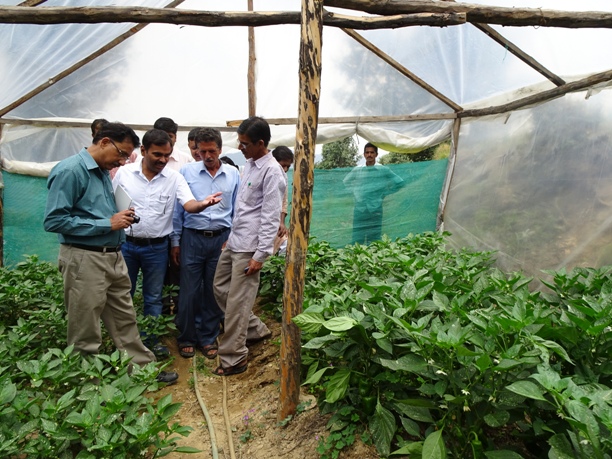 Image of Monitoring of farmers field under MGMG Programme