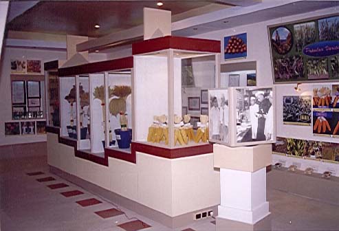 Image of Institute Museum