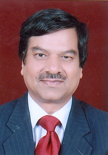 Image of Dr. H. S. Gupta
