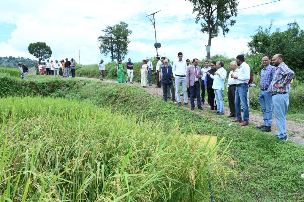 Image Of 49th Krishi Vigyan Mela11