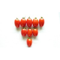 VL Cherry Tomato 1 / वी.एल. चेरी टमाटर 1